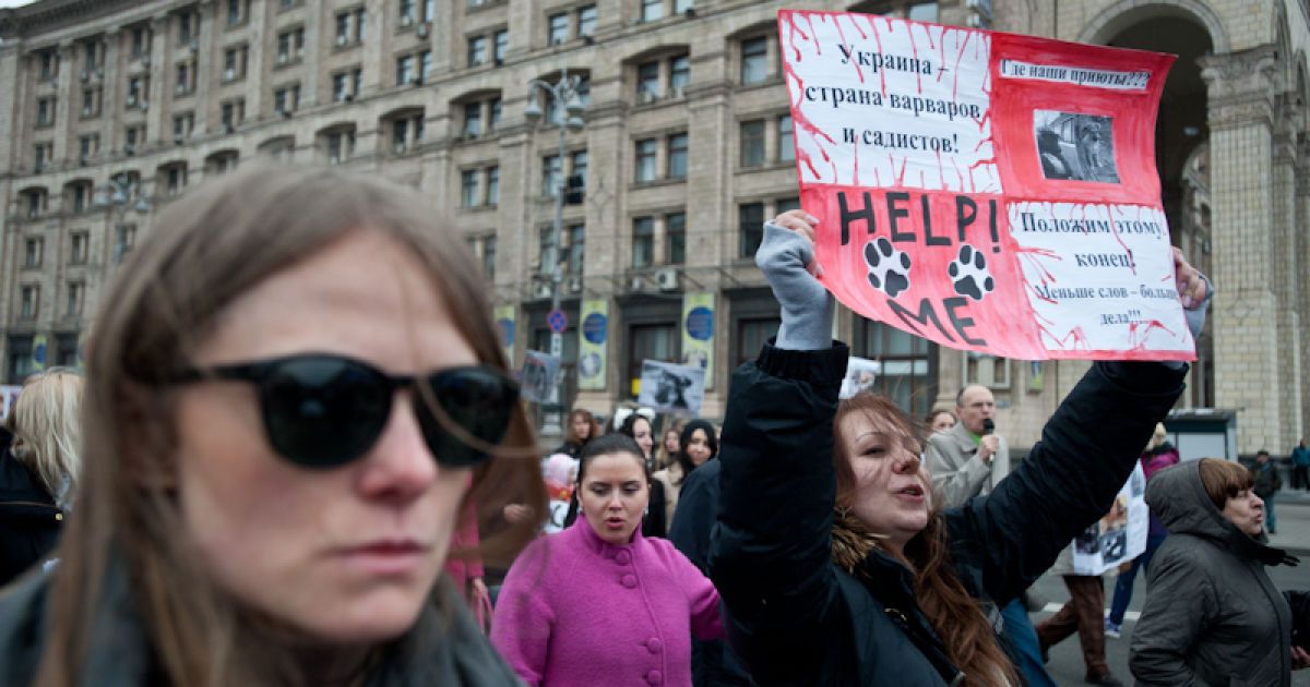 Марш проти вбивств безпритульних тварин в Україні напередодні Євро-2012.