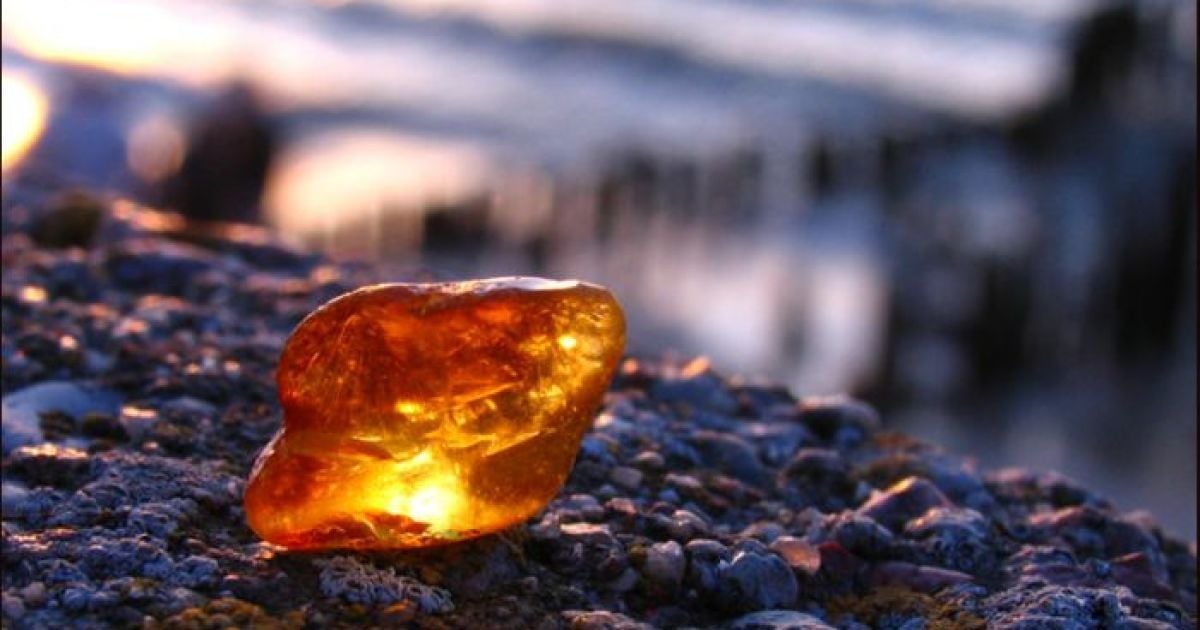 Дослідники знайшли в Антарктиді бурштин