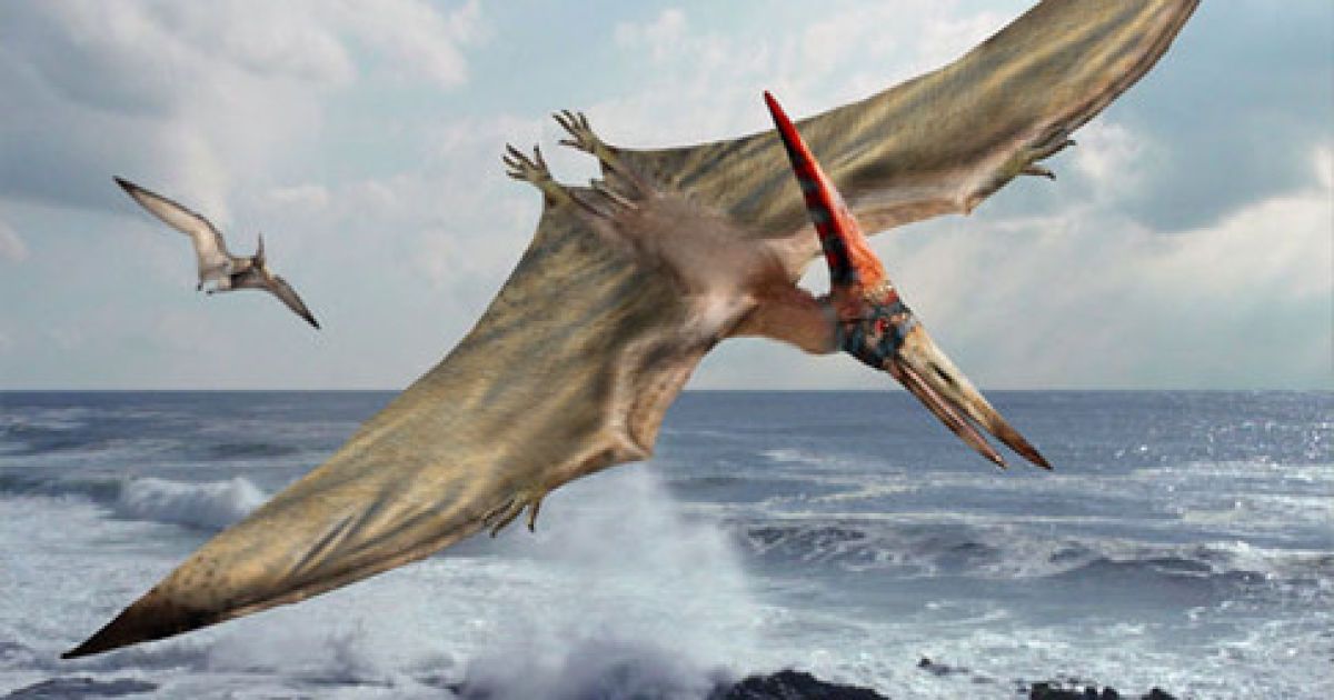 Птеродактиль