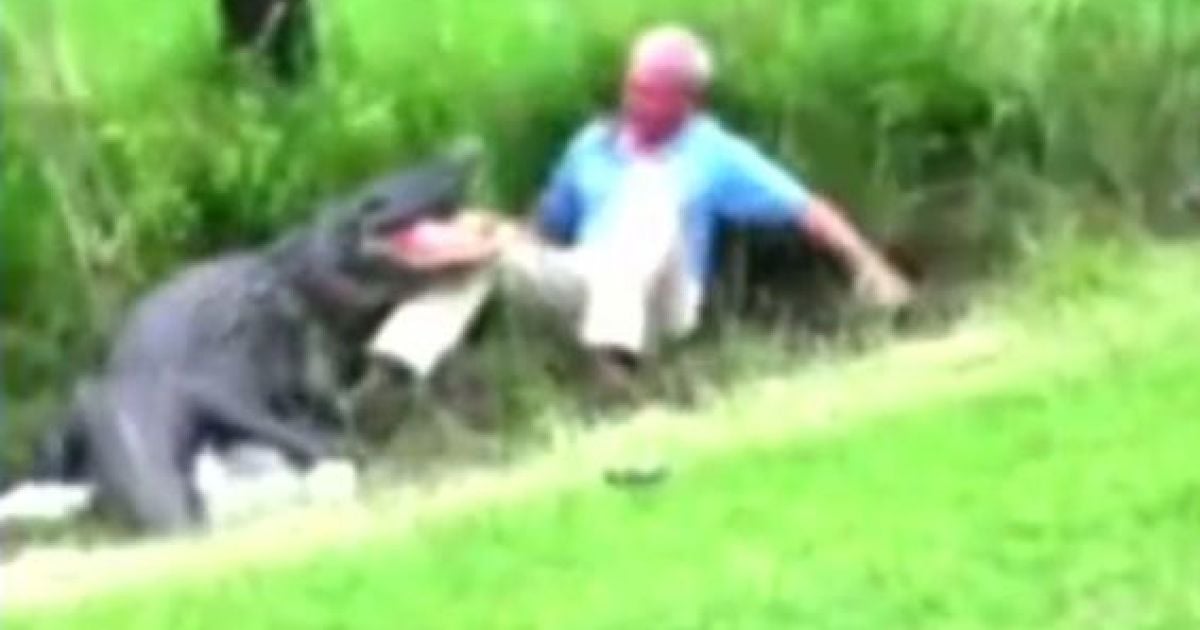 Чоловік дивом лишився живим. Скріншот з відео