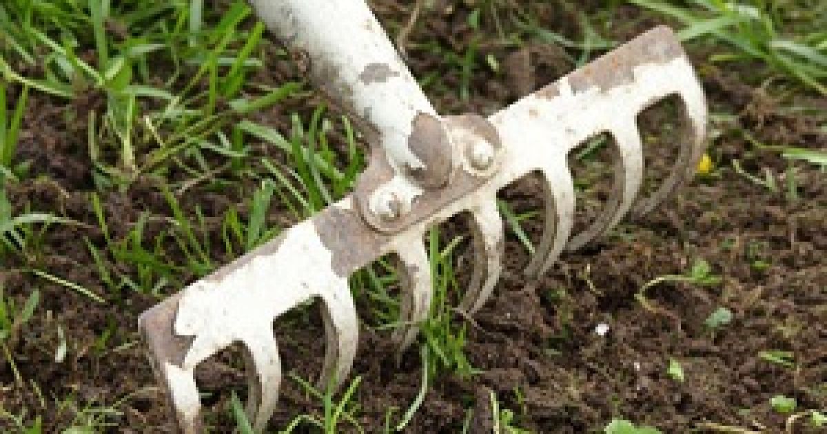 Чоловіку, який вдарив граблями міліціонера, дали три роки