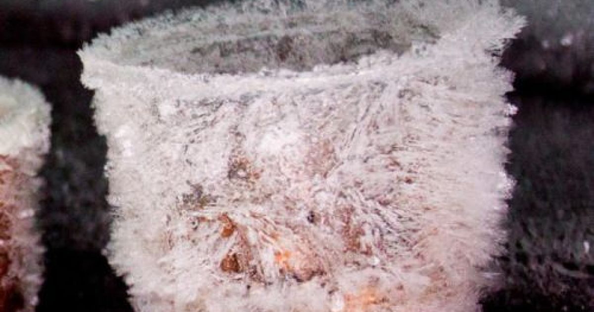 Швед вижив після двох місяців у заваленому снігом автомобілі / © bigpicture.ru