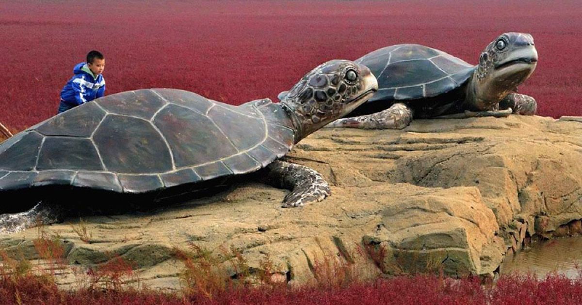 Червоний пляж у Китаї / © Фотоштаб