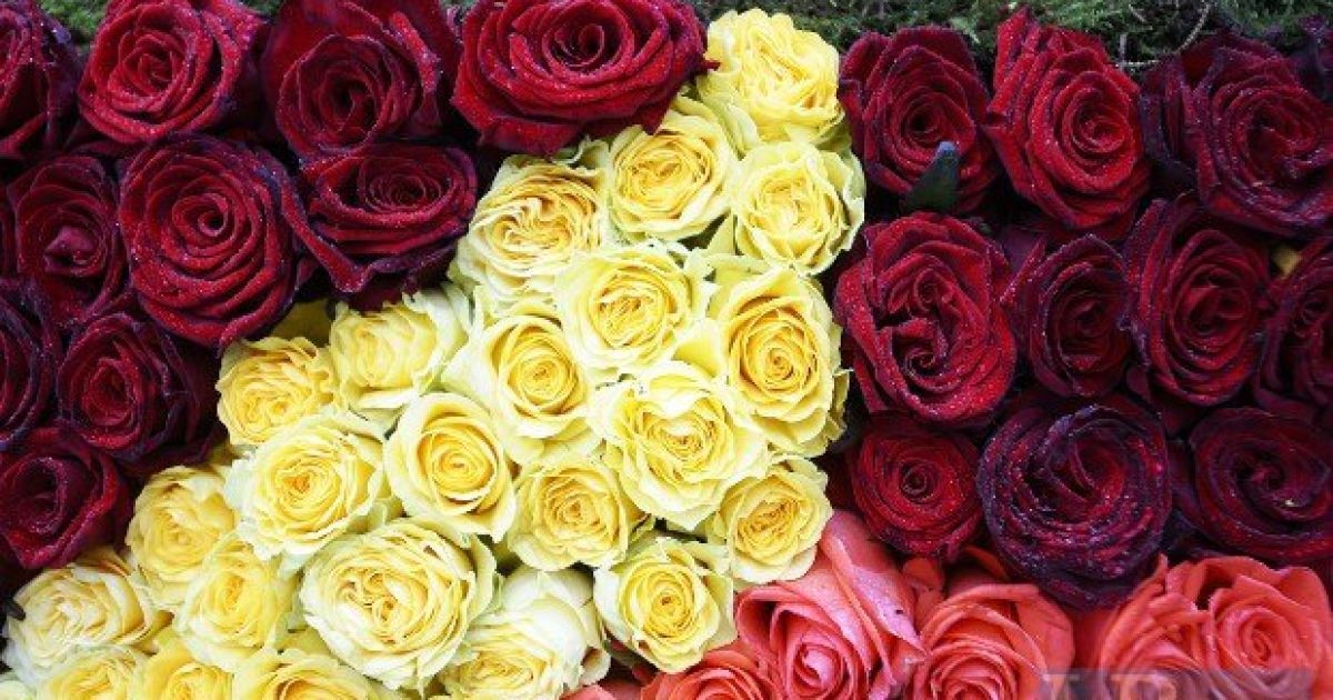 Квіти розлетілися буквально за 15 хвилин.