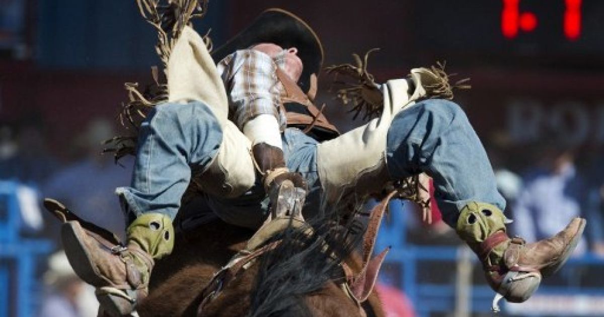 Up rodeo. Up rodeo. Up rodeo. Родео на лошадях. Ковбой на лошади родео.