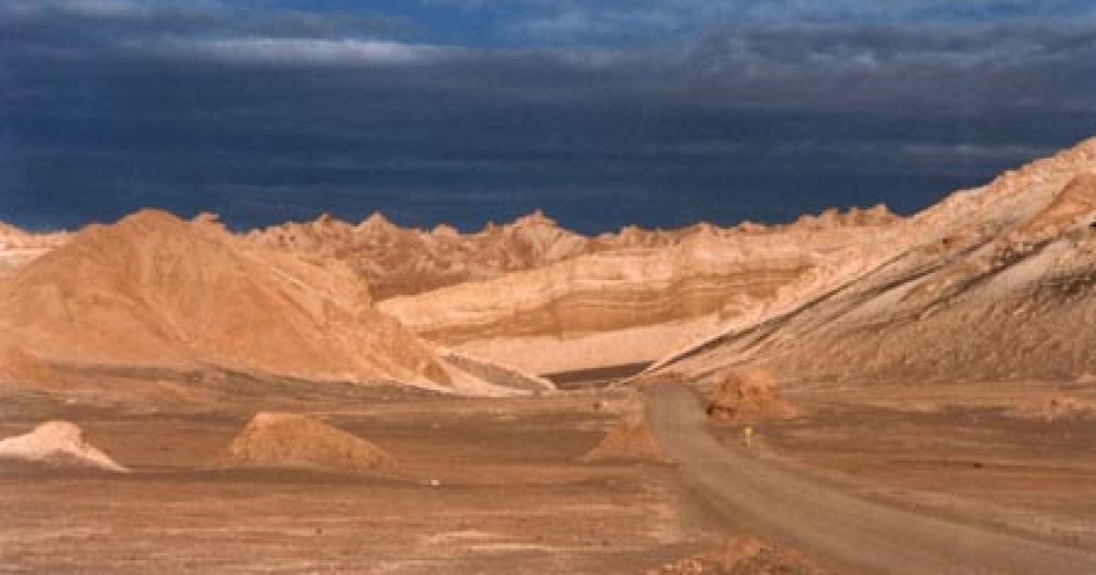 У найсухішій пустелі світу виявили життя — несподіване відкриття вчених в Атакамі