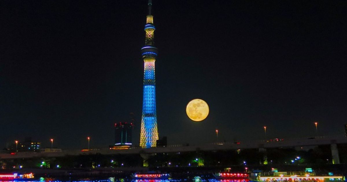 Cвято світлячків у Японії_10 / © Фототелеграф
