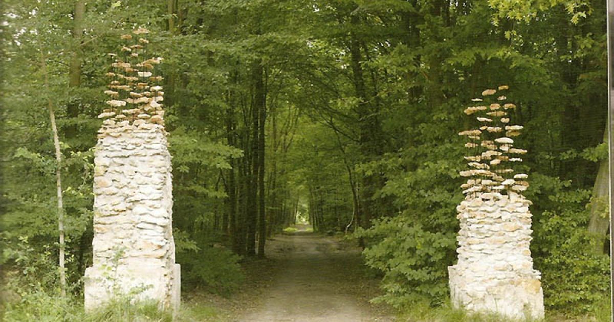 Німецький дизайнер виходить за межі реального / © bigpicture.ru