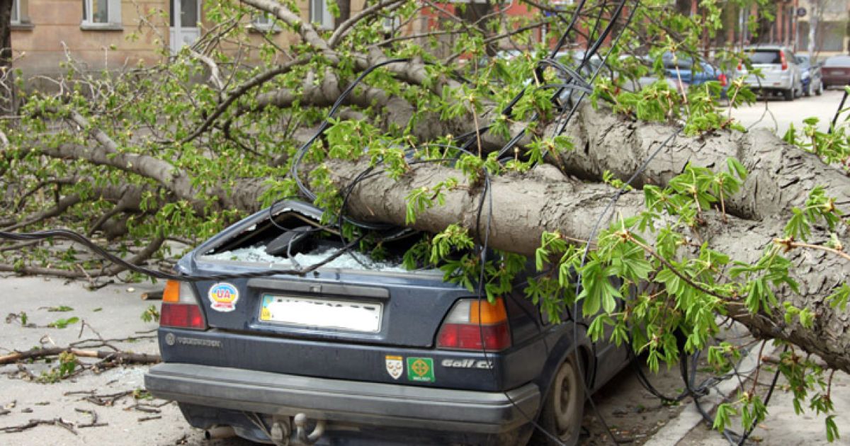 Деревом розчавило автівку в Симферополі