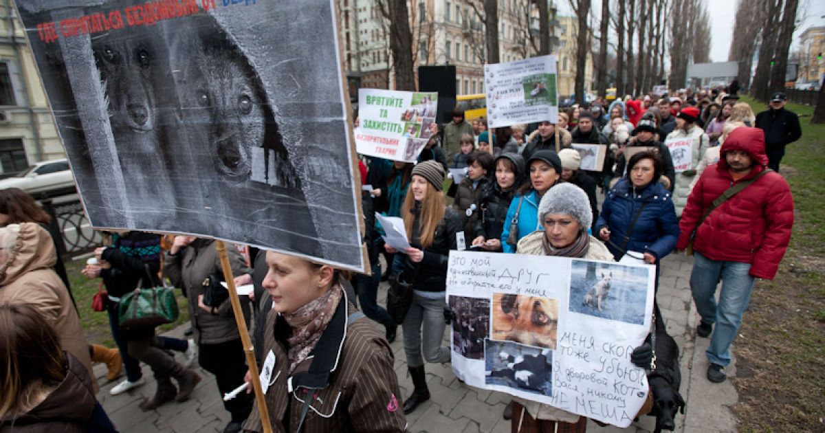 Марш проти вбивств безпритульних тварин в Україні напередодні Євро-2012.