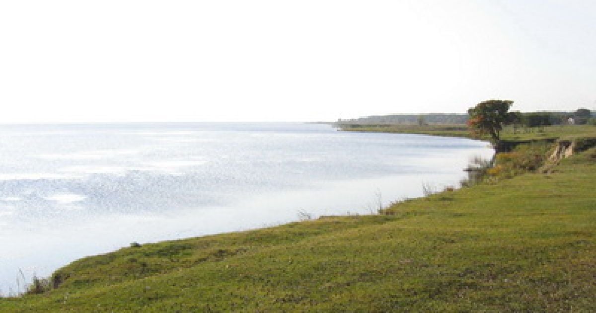 Землі  Канівського водосховища незаконно розпродали