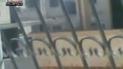 В Интернет попало видео зверств в Сирии