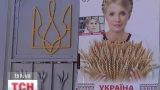 Юлія Тимошенко продовжує голодувати і помітно схудла