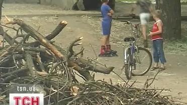 Огромное дерево привалило трех детей на Днепропетровщине