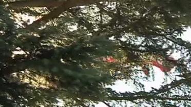 Трое детей, которые пострадали в аварии в Швейцарии, лежат в коме