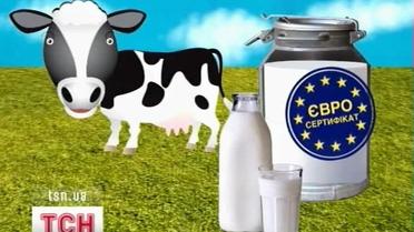 В Украину пришла европейская мода на органические продукты