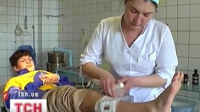В Ялті бродячі собаки покусали 13-річну дівчину