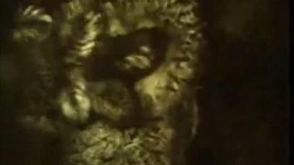 Анімаційний фільм "Жив-був пес" очолив "Золоту сотню" російських мультфільмів