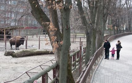 З Київського зоопарку вивозять тварин