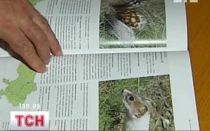Червоній книзі України і рідкісним тваринам з неї загрожує зникнення