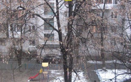 У центрі Києва кіт третю добу не може злізти з дерева