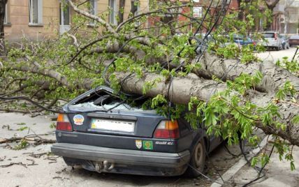 Шторм на півдні України затопив узбережжя та побив деревами десятки авто