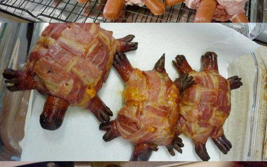 Черепаха на вкус. Жареная черепаха. Блюда из черепахи. Блюда из черепахи. Блюда из черепахи.