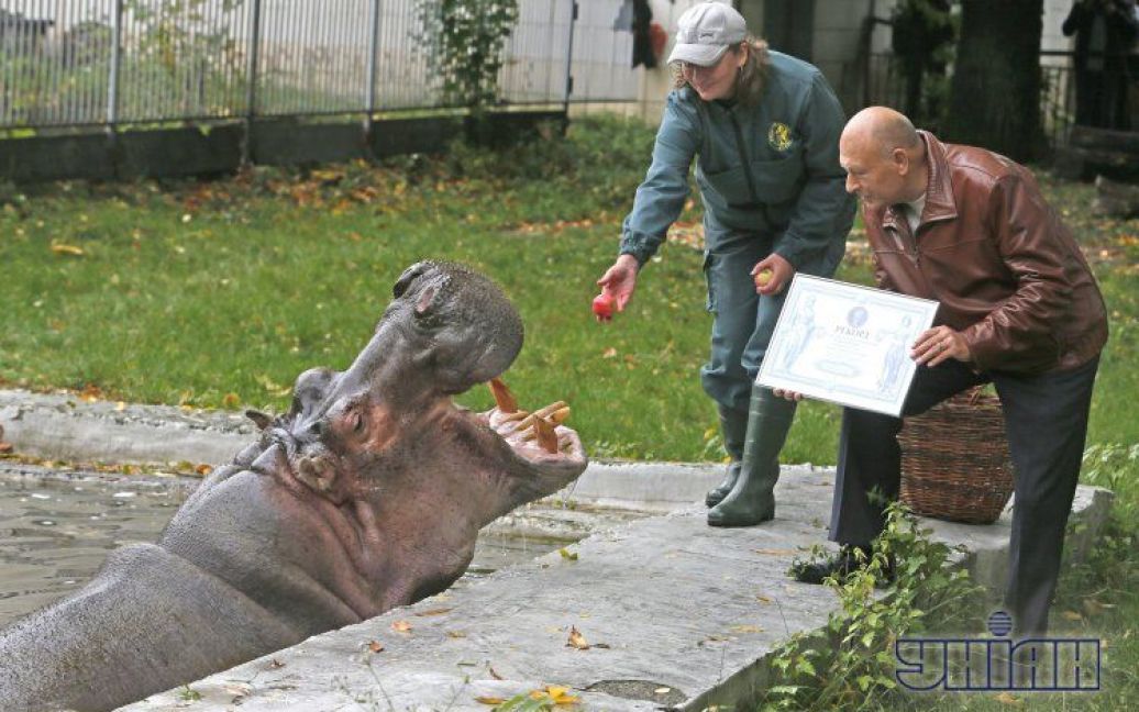 У зоопарку сподіваються, що Бреста проживе ще довго і встановить світовий рекорд / © ТСН.ua