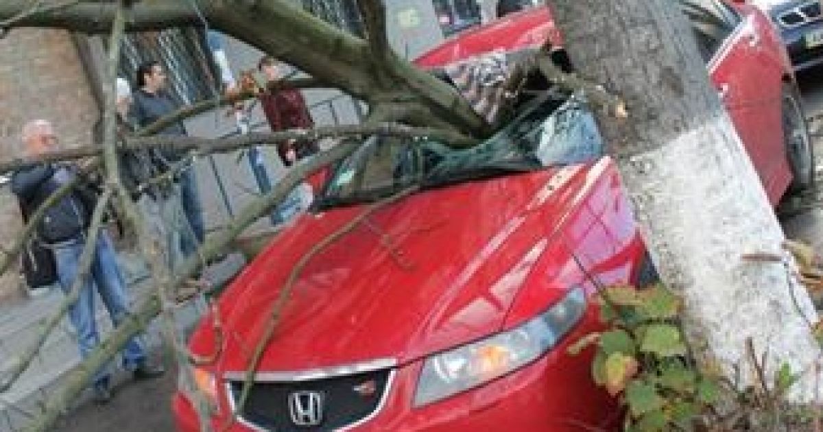 У Києві через сильний вітер величезна гілка простромила легковик
