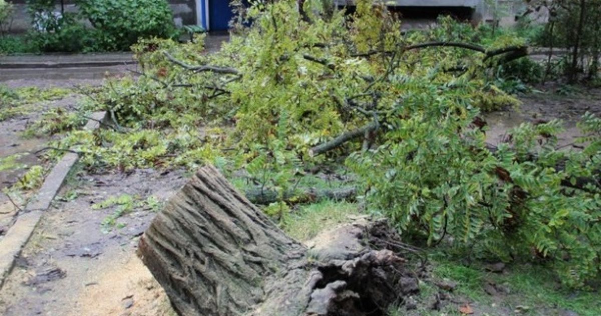 Ливни и ветер обесточили 79 населенных пунктов