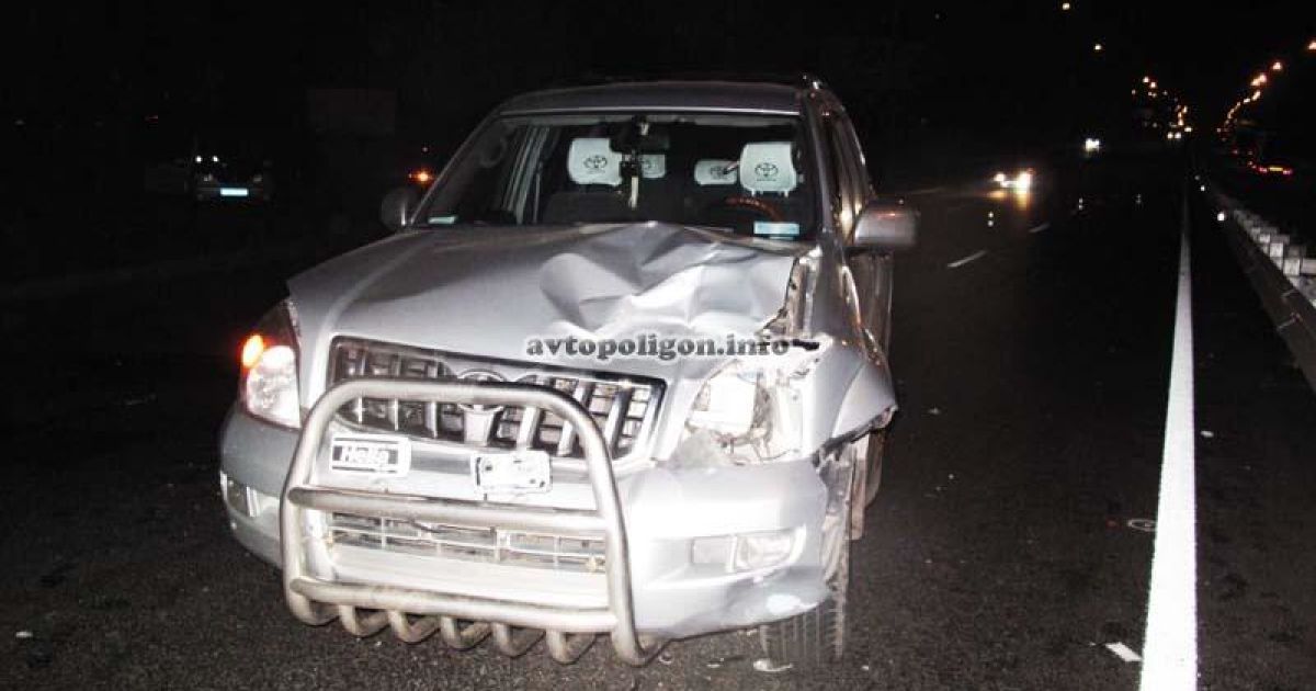 Чоловік побіг за собакою через дорогу і потрапив у ДТП.