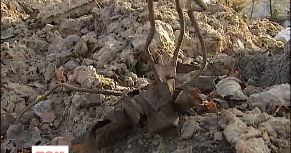 Діти травмуються і бігають серед куп сміття на шкільному стадіоні