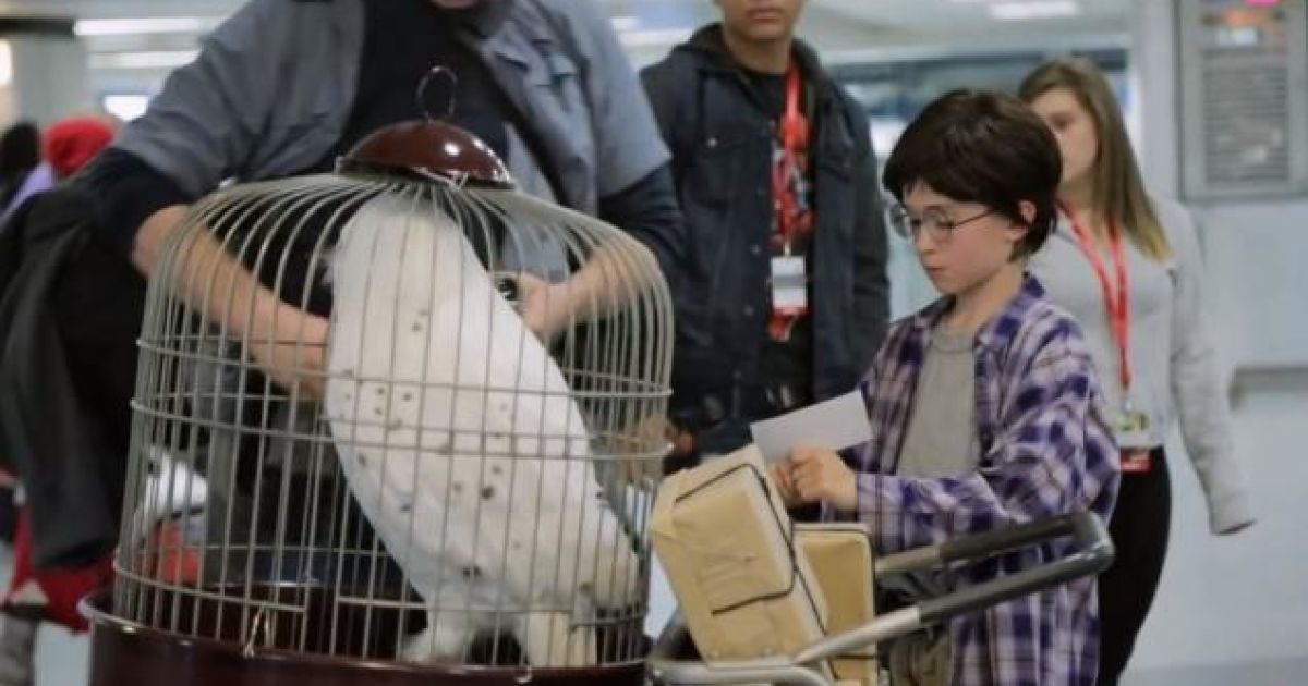 На вокзалі в Нью-Йорку з&rsquo;явився Гаррі Поттер.