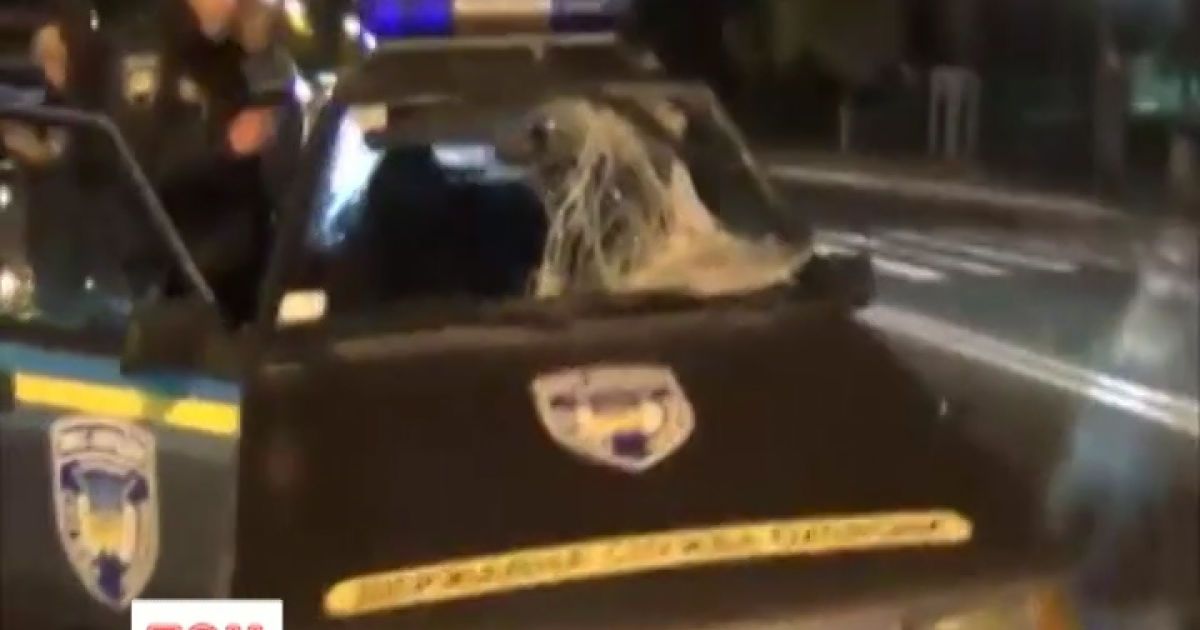 Держохоронці відповідатимуть за збиту дівчину