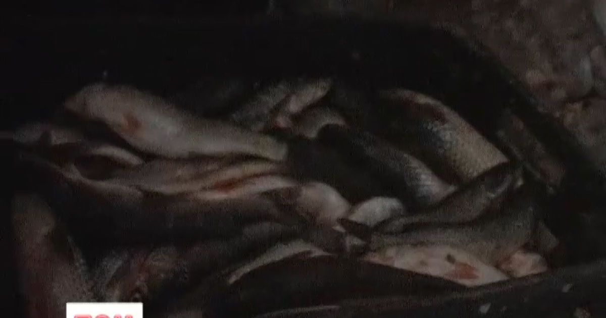 Їжу знайшли в жахливих умовах зберігання
