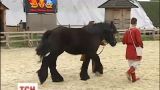 На Киевщине прошла выставка породистых лошадей