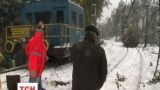 Раптовий сніг заблокував румунську залізницю