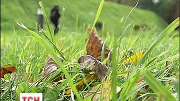 В Украину пришло бабье лето