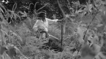 Синди Кроуфорд снялась для V Magazine