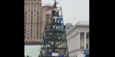 Мітингувальники на Майдані Незалежності взяли ялинку в облогу
