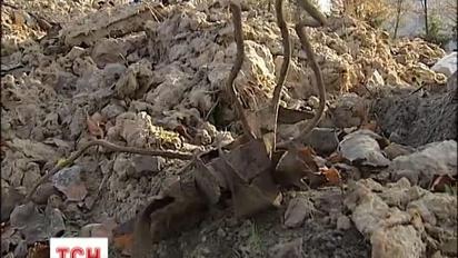 Школярі Бузівська, що  під  Києвом, на уроках балансують на межі життя та смерті