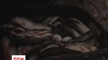 Правоохоронці вилучили 12 тонн продуктів харчування, які зберігались у страшних антисанітарних умовах