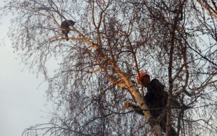 Любовь без границ. Почему классическая модель брака перестает удовлетворять людей