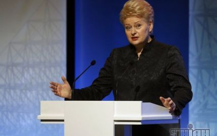 Президент Литвы назвала Россию опасной и непредсказуемой