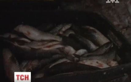 У Києві в немитих холодильниках на складі знайшли 12 тон риби та мʼяса