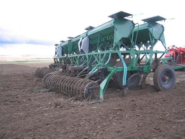 Ціни на продукти в Україні: чого очікувати та чи не буде дефіциту