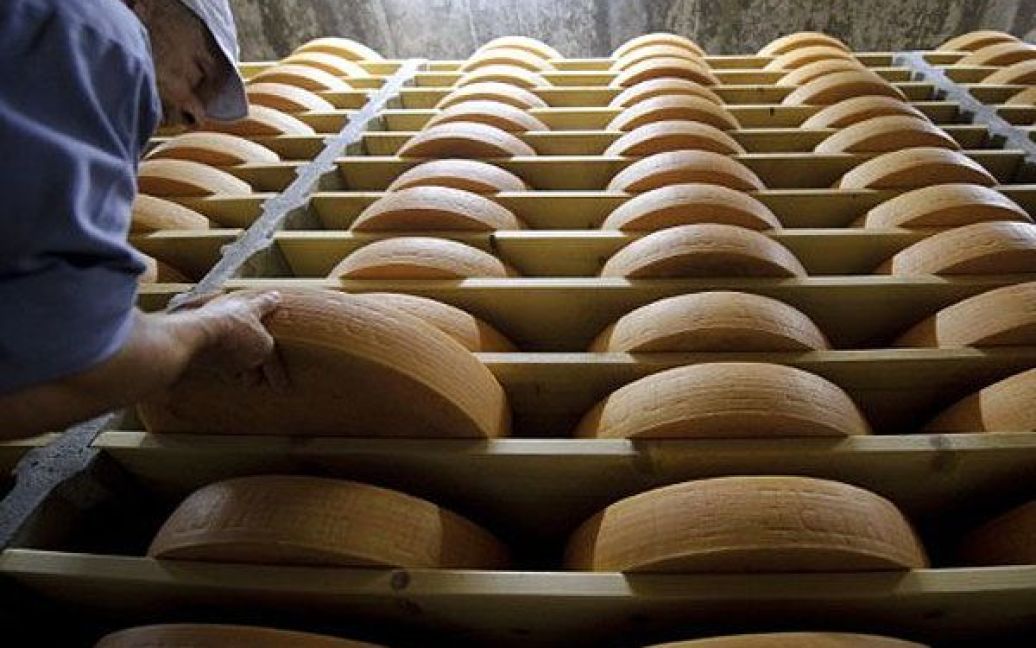 Швейцарія, Булле. Колеса сиру "Грюйер" дозрівають у гігантському підвалі в Булле, західна Швейцарія. Принаймні, з 1115 року у невеликому містечку Грюйер виробляють сир за традиційними рецептами. / © AFP