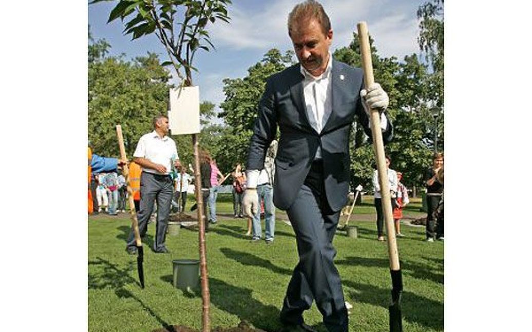Голова КМДА Олександр Попов, який брав участь у посадці дерев, заявив, що алея сакур в Києві буде "найбільшою у світі". / © УНІАН