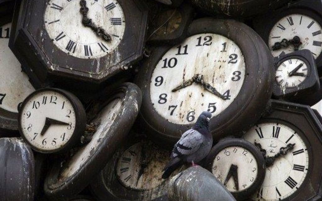 Франція, Париж. Голуб сидить на годиннику на залізничній станції Сен-Лазар в Парижі через кілька годин після того, як Європа перейшла на зимовий час і перевела годинники на одну годину назад. / © AFP