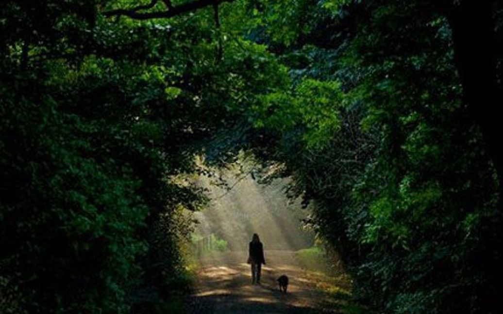 Німеччина, Лейпциг. Жінка та її собака йдуть у гуляють парком у променях сонця в Лейпцигу. / © AFP